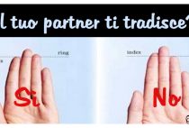 partner traditore