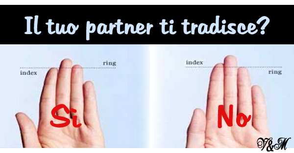 partner traditore